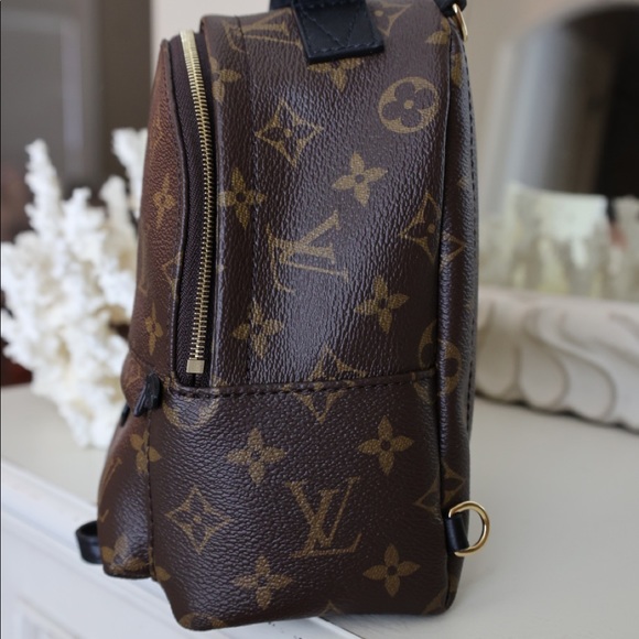 Louis Vuitton Palm Springs Mini Backpack - Picture 4 of 13